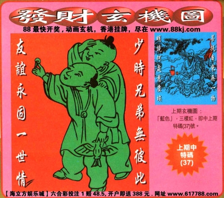 马匹买卖网，便捷交易新选择-第3张图片