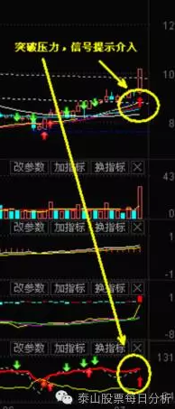 481走势图分析