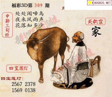 乐透乐福彩论坛乐透乐福彩论坛，彩票投注的新探索-第2张图片