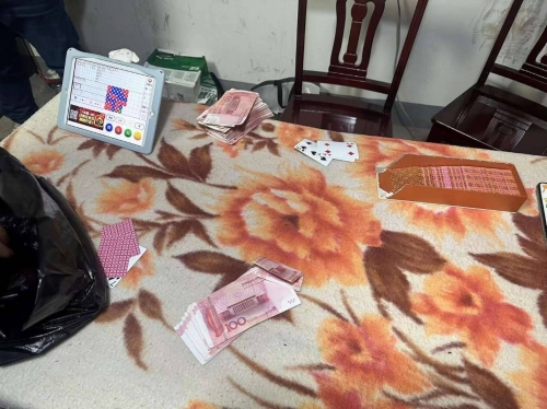 百家乐群，探索其中的诱惑与风险
