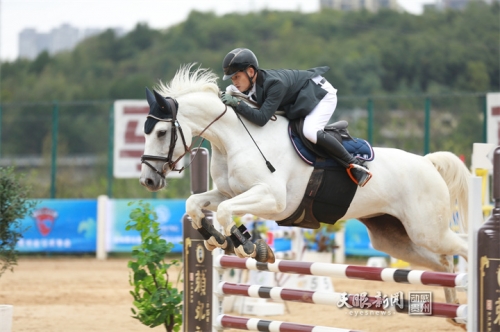 2021马会资料精选免费大全2019正版马会资料大全-第2张图片