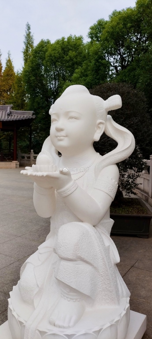 金光佛论坛开奖结果开奖资料安装嗯金光佛论坛，探寻佛法智慧与心灵成长-第3张图片