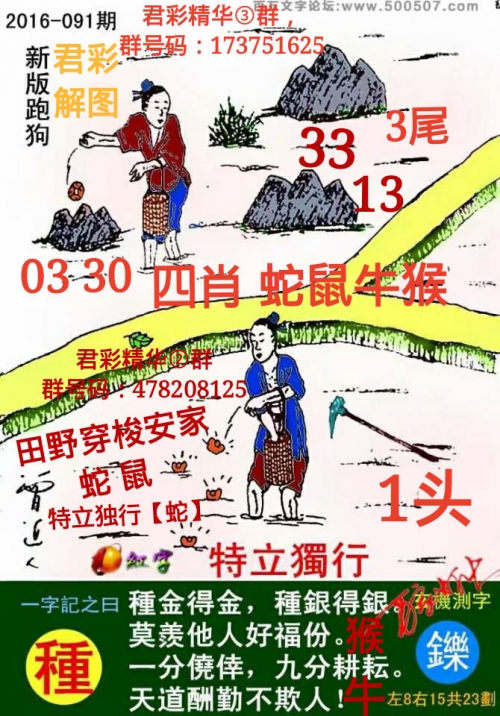 2019年今天特马图片2019今日特马结果回顾-第1张图片