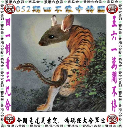 香港最准最快资料大全资料香港最准最快资料大全-第2张图片