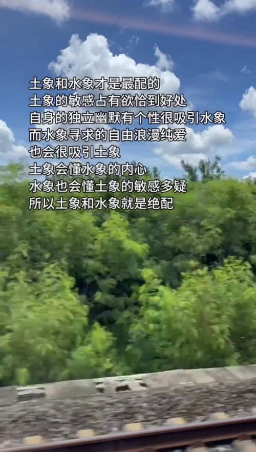 金牛论心水com四不像金牛论心水-第3张图片