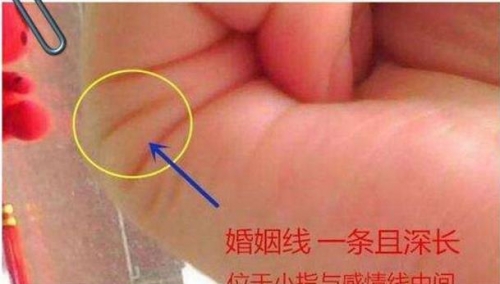 2345周公解梦原版免费解析