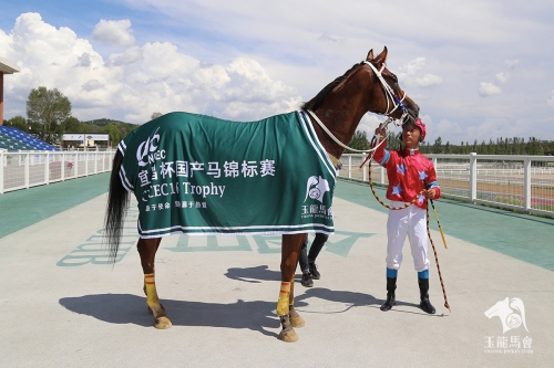 2019正版马会资料大全2019正版马会资料大全-第3张图片