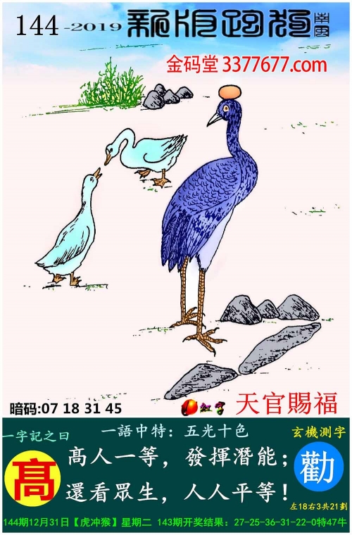六合内部玄机六合内部玄机-第1张图片