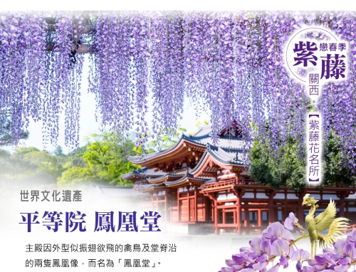 爱游网爱游网，探索网络旅游的新世界-第2张图片