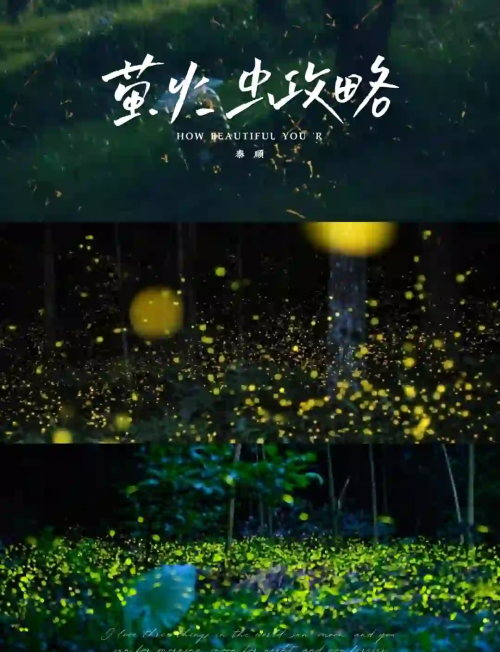 蝴蝶谷论坛蝴蝶谷论坛，探索自然之美与交流心得-第3张图片