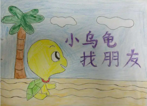 小海龟小海龟的故事
