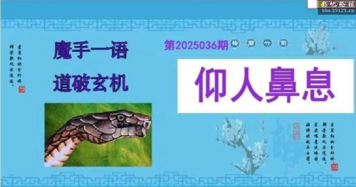 双色球图谜字谜汇总双色球图谜字谜汇总