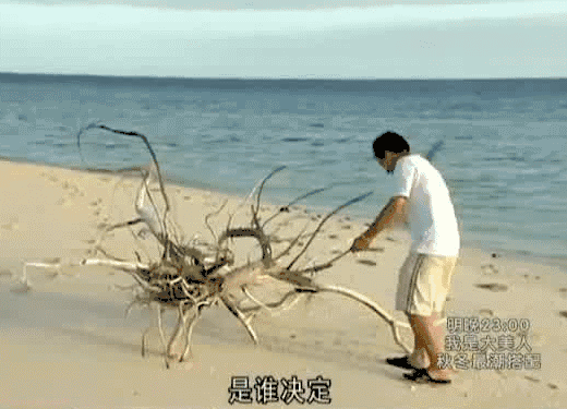 新冒险王新冒险王，探索未知的世界