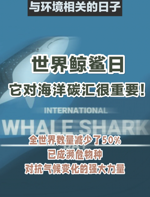 捕鱼星力，海洋生态与人类捕捞的新篇章
