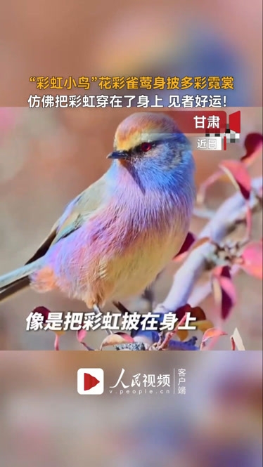 万家彩万家彩，多彩生活的新篇章