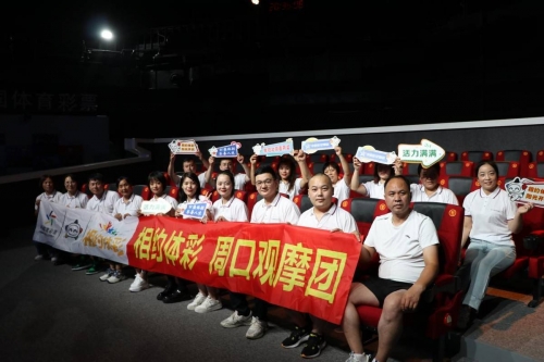 中国彩票官方网，揭开彩票神秘面纱
