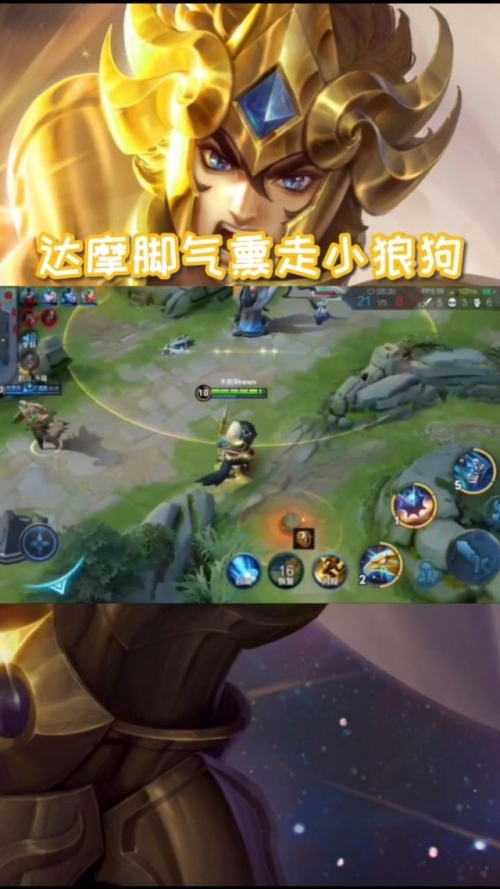 小狼狗高手论坛，探讨狼犬成长与训练的奥秘-第2张图片