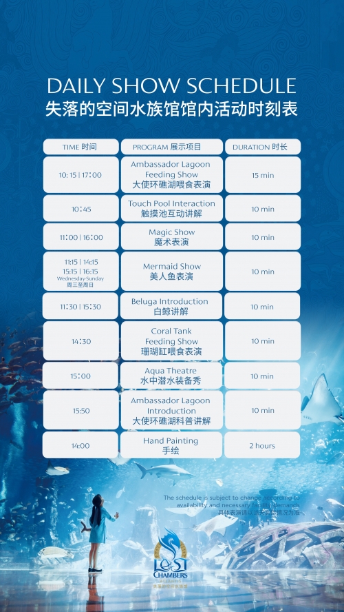 红太阳心水论坛，探索交流与智慧的海洋-第1张图片