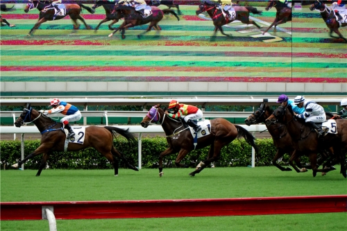 马会正版香港资料大全一小香港正版马会资料-第3张图片