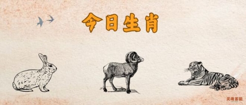 肖四四不像，必中的智慧与策略-第2张图片