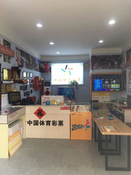 沈阳彩票总站彩票总站，探索彩票的世界-第3张图片