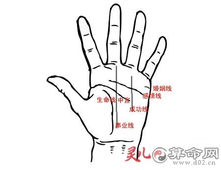 手相没有事业线 是不是事业不好手相没有事业线解析-第1张图片