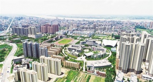 比思论坛特区，探索创新与发展的新天地