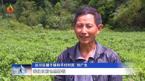 达州赚钱最快的行业四川达州做什么赚钱？-第2张图片