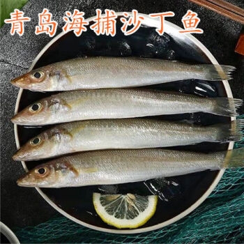 沙丁鱼的功效与作用沙丁鱼之海，海洋中的生命奇迹