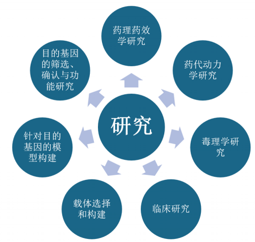 精准一肖，准确率极高的预测与策略
